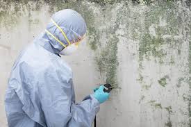 Best Mold Removal for HVAC Installations  in Talent, OR